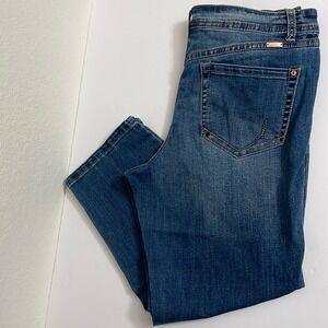 INC International Concepts Blue Ankle & Cropped Jeans
